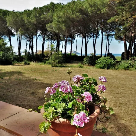 Villa-eucalipti-am-meer-und-im-gruenen-pinienwald 別荘 *