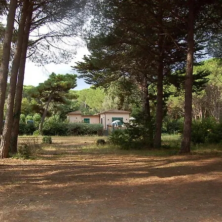 Vakantiehuis Villa-eucalipti-am-meer-und-im-gruenen-pinienwald *