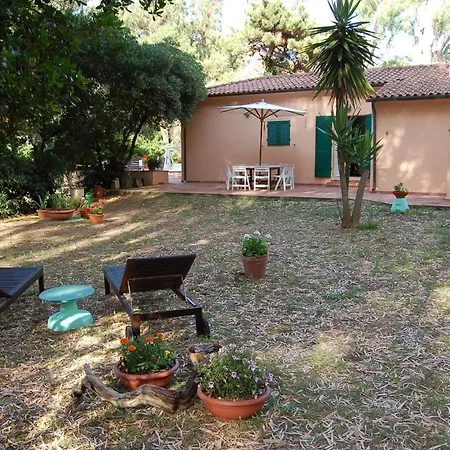 Vakantiehuis Villa-eucalipti-am-meer-und-im-gruenen-pinienwald *